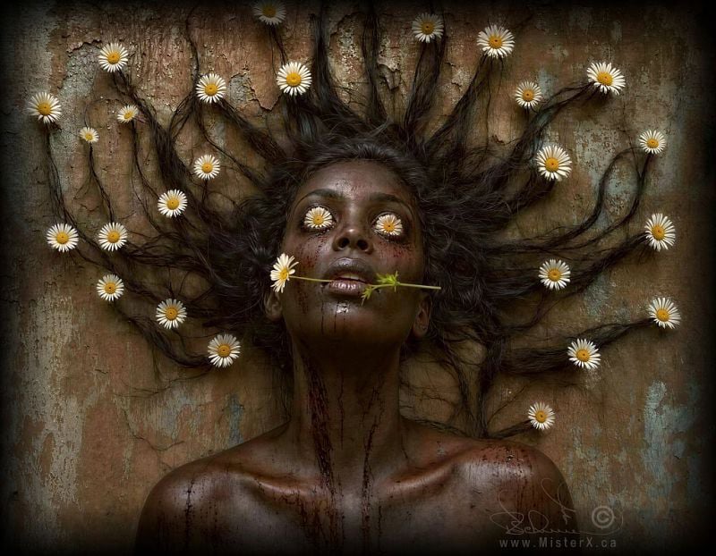 A woman appears to be zombie-like, or perhaps dead. She has a long stemmed daisy in her mouth, daisy flowers scattered in her her, and daisies for eyes.