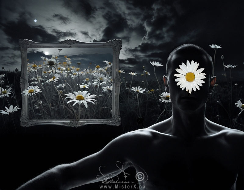 A dimly lit silhouette of a man with arms outstretched appears on the right side of a mostly black canvas. He sits in front of a daisy field and there is a floating picture frame on his right side that shows a picture of daisies. The sky is dark and moonlit and cloudy. A large daisy flower covers his face.